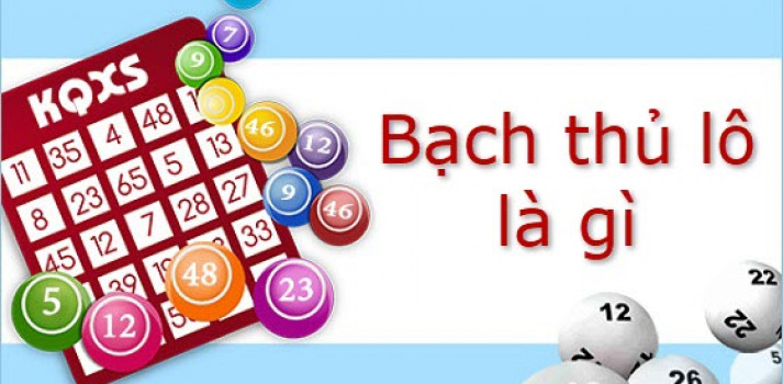 Bạch thủ lô là gì? Cách bắt bạch thủ lô mới nhất hiện nay