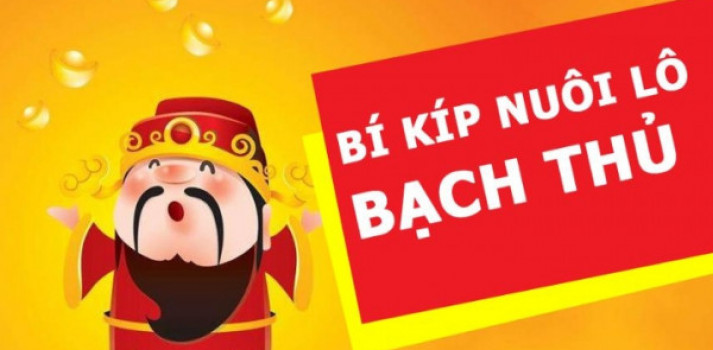 Kinh nghiệm nuôi lô bạch thủ chuẩn ăn cho người mới chơi